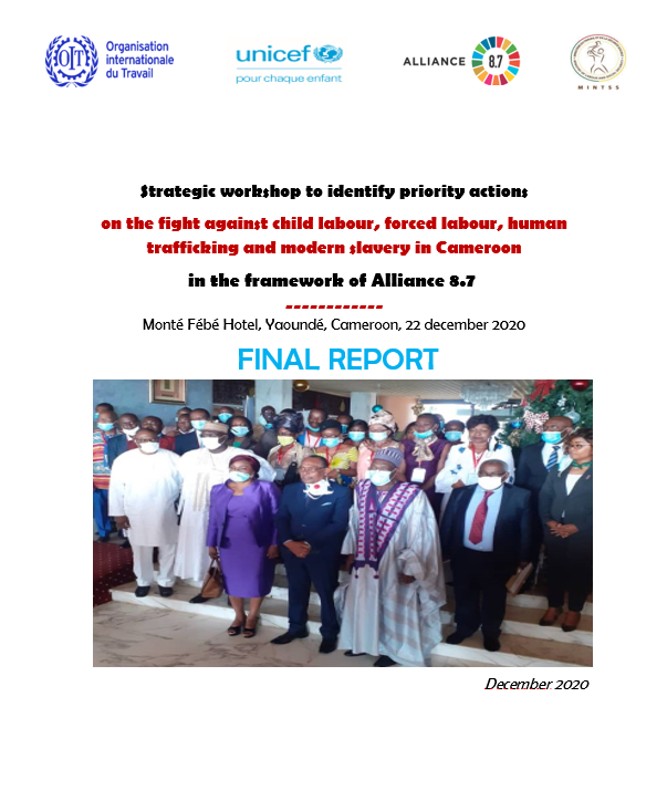 Cameroon_Final Report Strategic workshop to identify priority actions