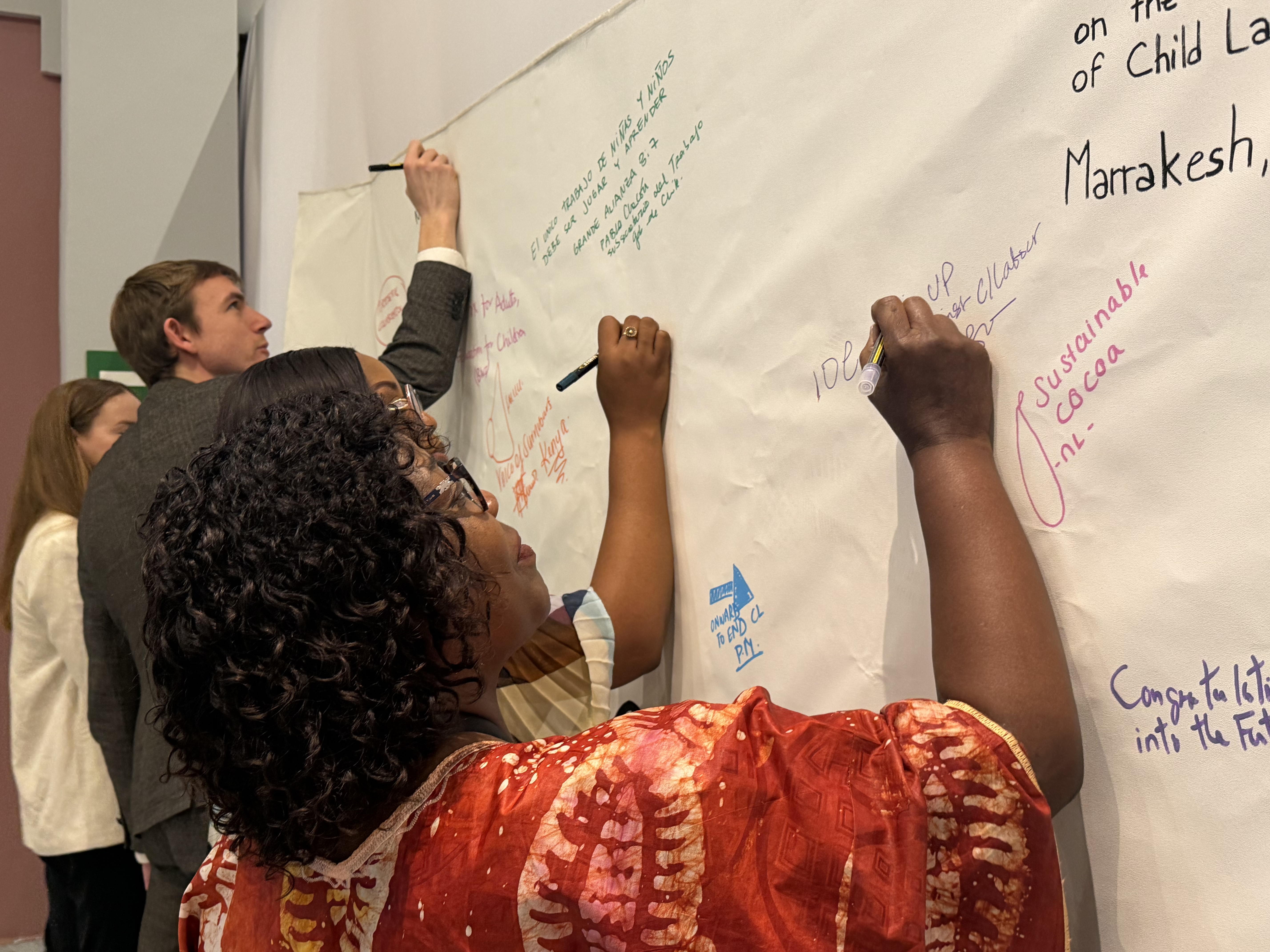 Alliance 8.7 side event canvas