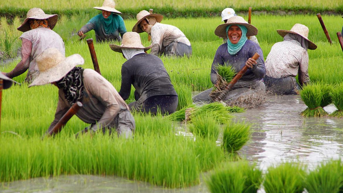 Farm workers Philippines