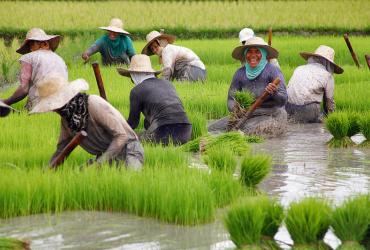Farm workers Philippines
